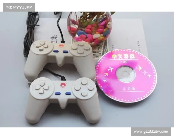 畅享经典游戏:DVD机完全指南 畅享经典游戏:DVD机完全指南