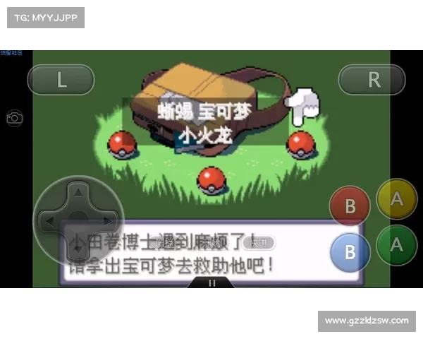 破解口袋妖怪黑白金手指的最佳技巧及实用操作指南分享 破解口袋妖怪黑白金手指的最佳技巧及实用操作指南分享