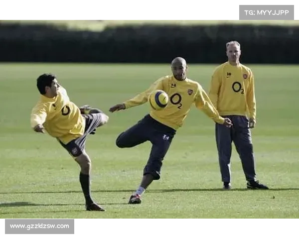 博格坎普为何最终拒绝加盟皇马背后的深层原因与影响分析